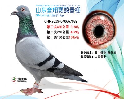 2020年誉翔318