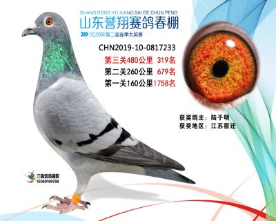 2020年誉翔319 副本