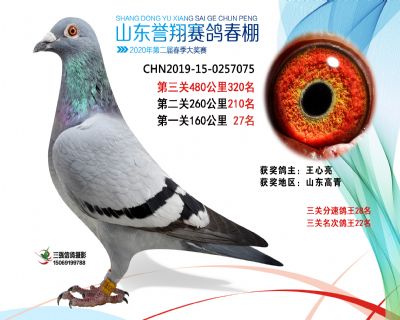 2020年誉翔320 副本