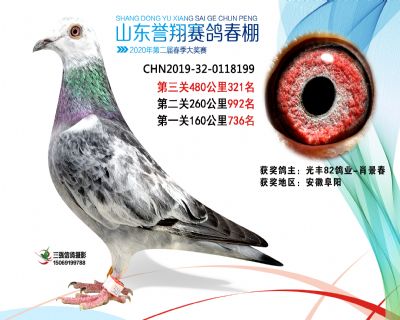 2020年誉翔321 副本