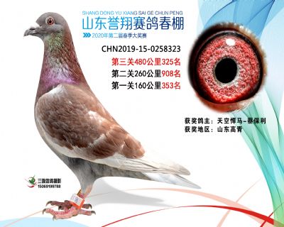 2020年誉翔325 副本