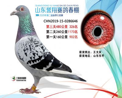 2020年誉翔326 副本