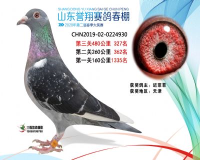 2020年誉翔327 副本