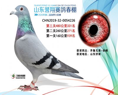 2020年誉翔331