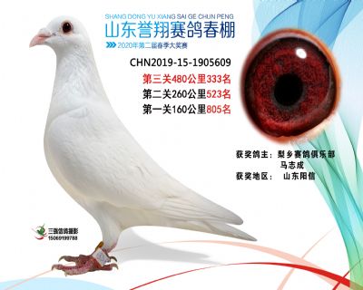 2020年誉翔333 副本