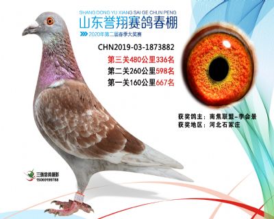2020年誉翔336 副本