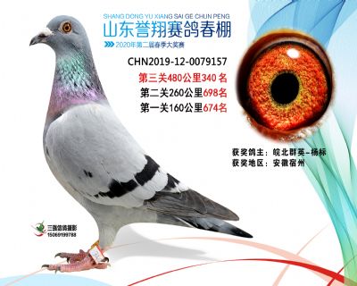 2020年誉翔340 副本