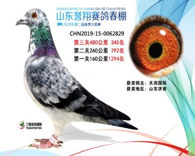 2020年誉翔345 副本