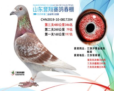 2020年誉翔346 副本