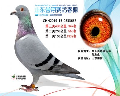 2020年誉翔349 副本