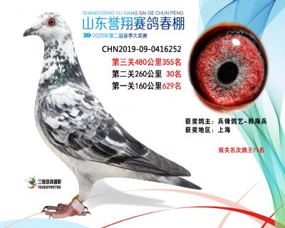 2020年誉翔355 副本