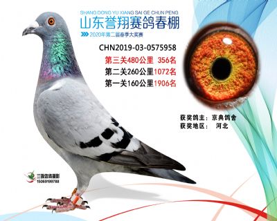 2020年誉翔356 副本