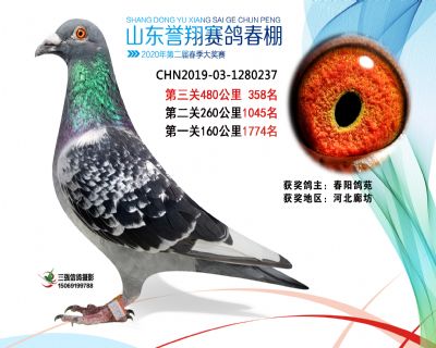 2020年誉翔358 副本