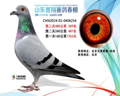 2020年誉翔359