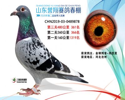 2020年誉翔361