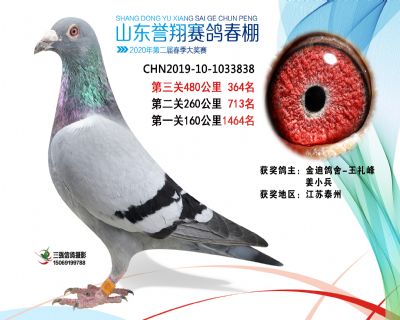 2020年誉翔364 副本