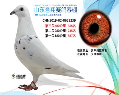 2020年誉翔365 副本