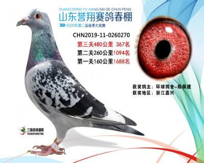 2020年誉翔367 副本
