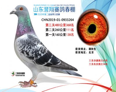 2020年誉翔368 副本