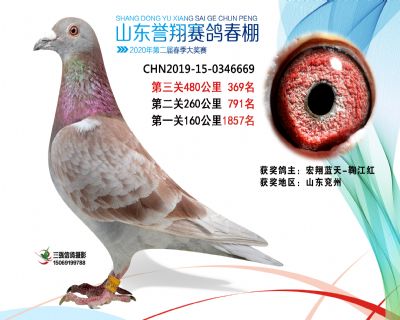 2020年誉翔369
