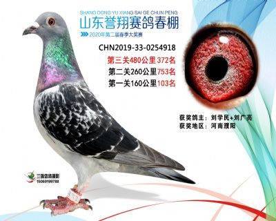 2020年誉翔372 副本
