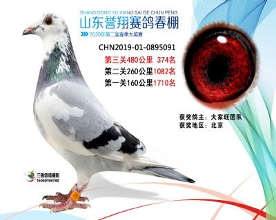 2020年誉翔374 副本