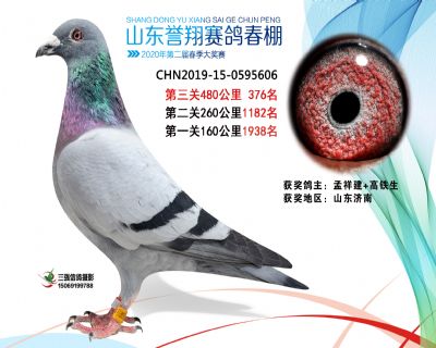 2020年誉翔376 副本