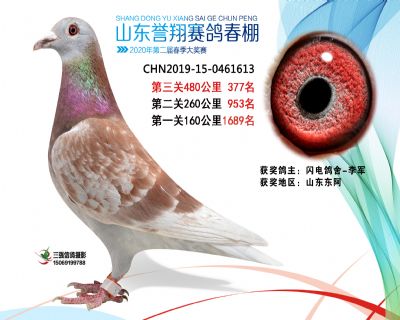 2020年誉翔377