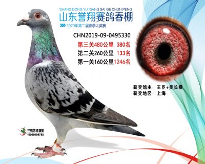 2020年誉翔380 副本