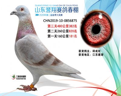2020年誉翔382 副本