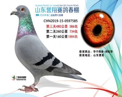 2020年誉翔386 副本