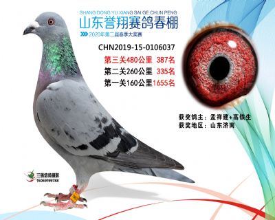 2020年誉翔387 副本