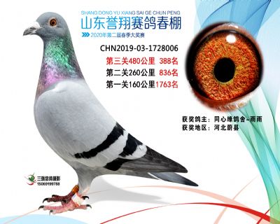 2020年誉翔388 副本