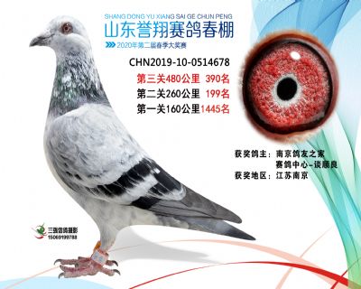 2020年誉翔390 副本