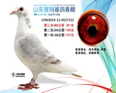 2020年誉翔391 副本