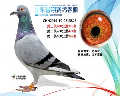 2020年誉翔393 副本
