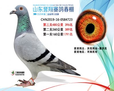 2020年誉翔396