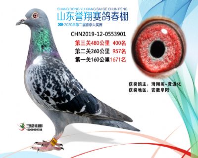 2020年誉翔400 副本