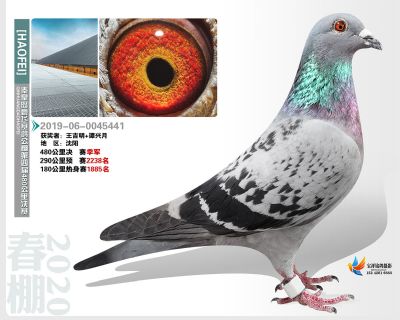 秦皇岛豪飞公棚决赛季军