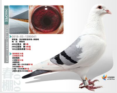 秦皇岛豪飞公棚决赛9名
