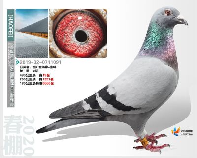 秦皇岛豪飞公棚决赛19名