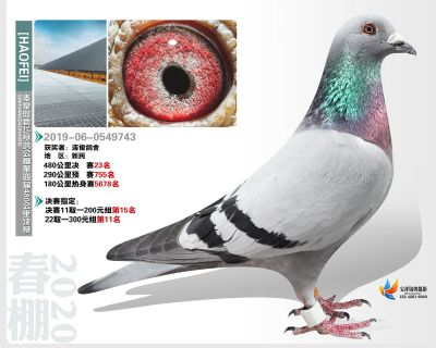 秦皇岛豪飞公棚决赛23名