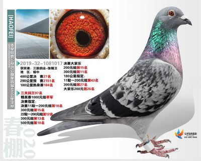秦皇岛豪飞公棚决赛27名