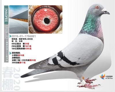 秦皇岛豪飞公棚决赛29名