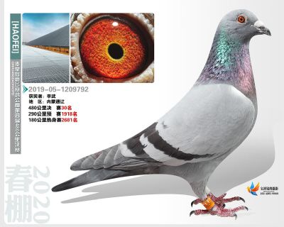秦皇岛豪飞公棚决赛30名
