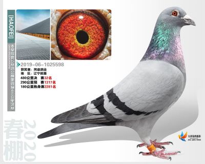 秦皇岛豪飞公棚决赛32名