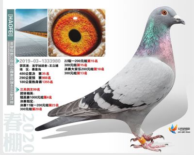 秦皇岛豪飞公棚决赛35名