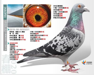 秦皇岛豪飞公棚决赛38名