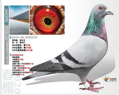 秦皇岛豪飞公棚决赛43名