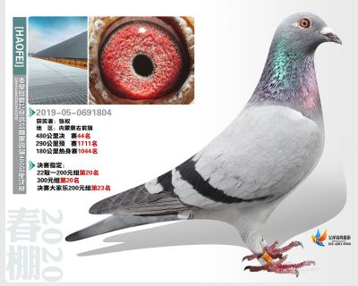 秦皇岛豪飞公棚决赛44名